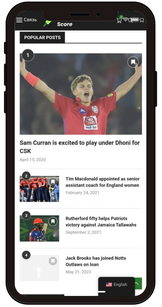 Cricket Live Score Case Study - web Design Agency